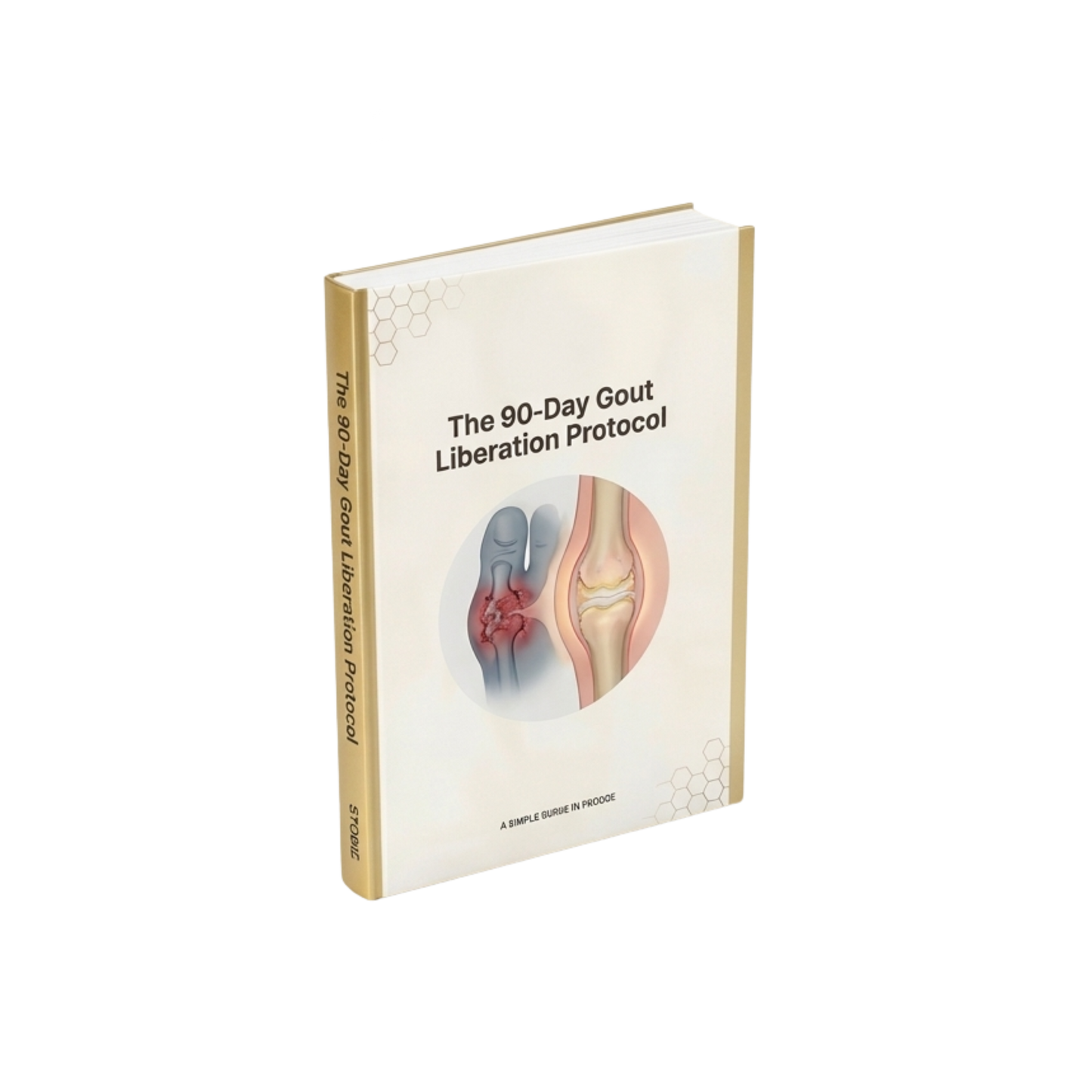 The 90-Day Gout Liberation Protocol eBook